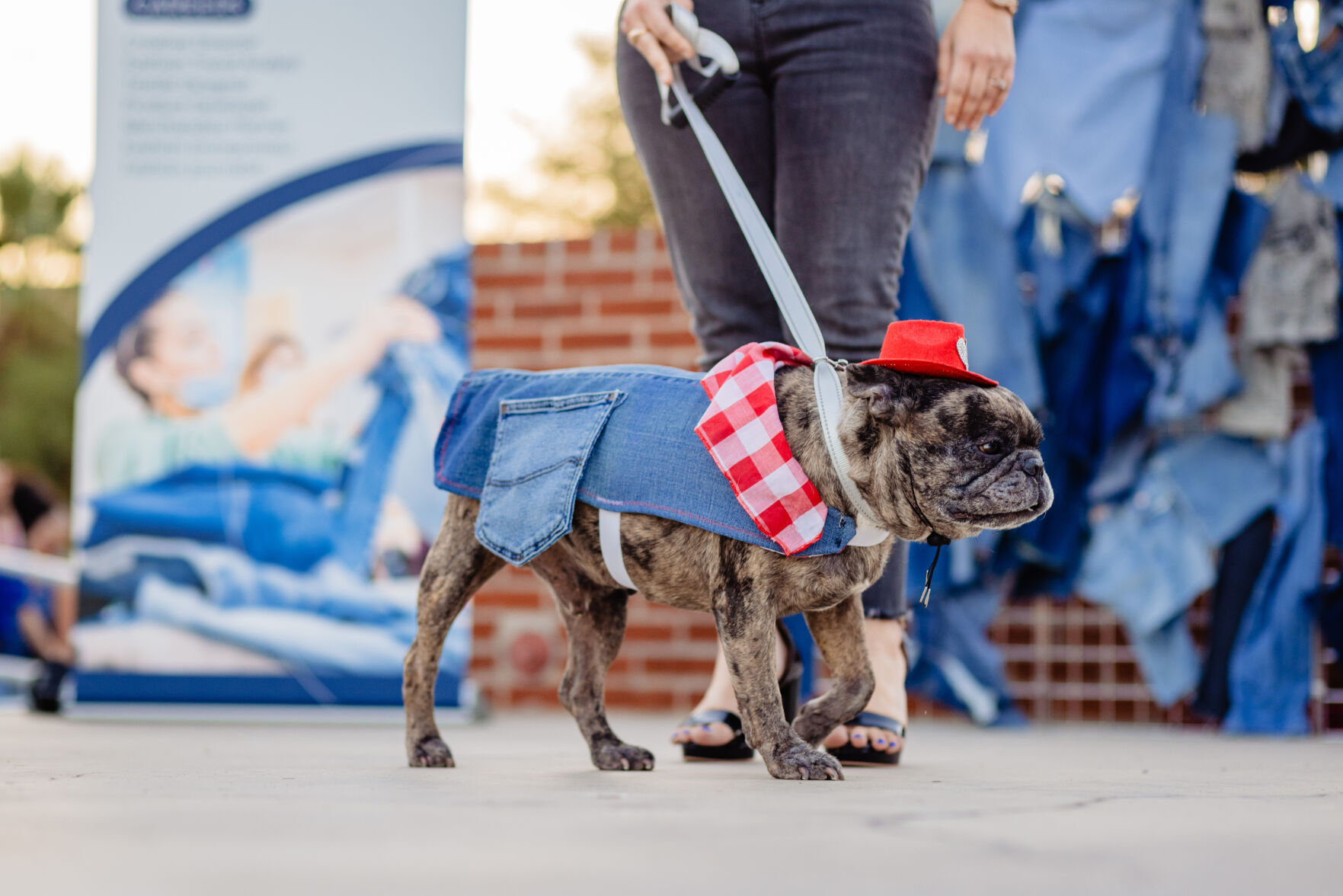 Dogs 'n Denim
